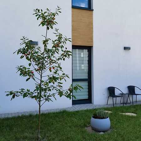 Apartament Sosnowa Puławy Exterior foto