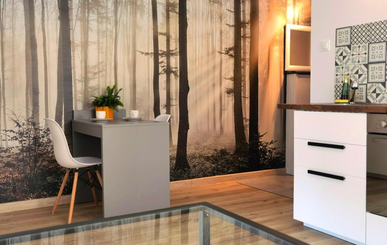 Apartament Sosnowa Puławy Exterior foto