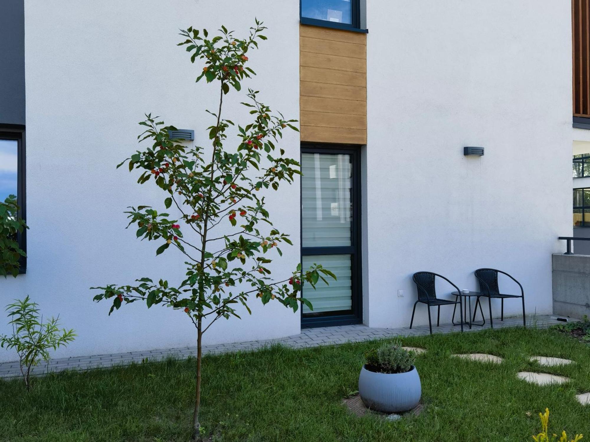 Apartament Sosnowa Puławy Exterior foto
